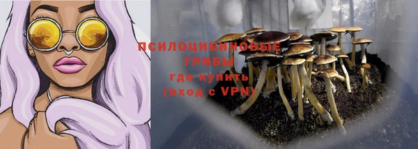МДПВ Козловка