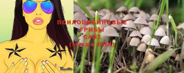 МДПВ Козловка
